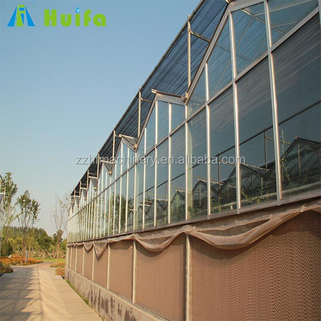 2023 Hot Sale Low Price Glass Greenhouses Used Intelligent Glass Greenhouse With Pad And Fan Cooling System