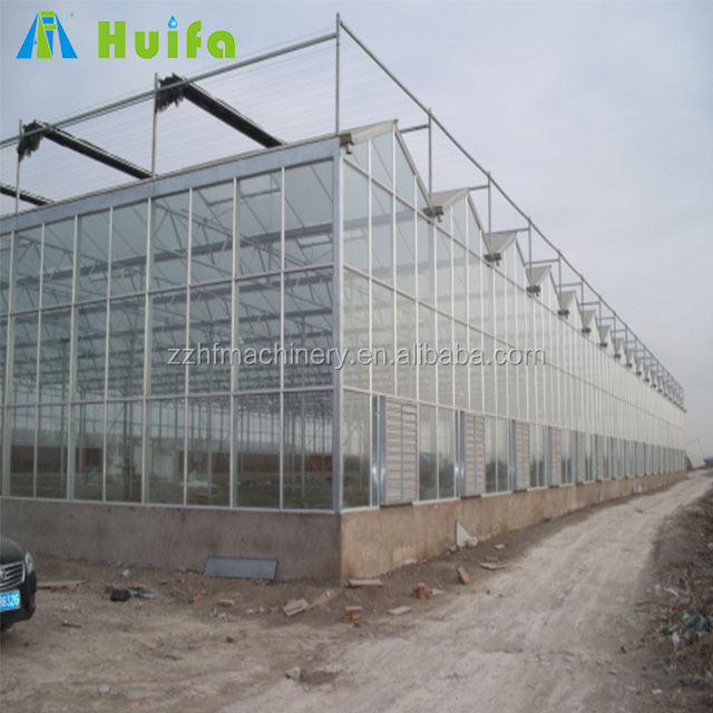 2023 Hot Sale Low Price Glass Greenhouses Used Intelligent Glass Greenhouse With Pad And Fan Cooling System