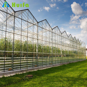 Commercial Glass Greenhouse for sale