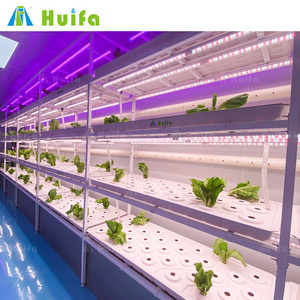 Climate Chamber Hydroponic Aeroponic Farming Room Urban Farm Grow Box Mushroom Shipping Containers