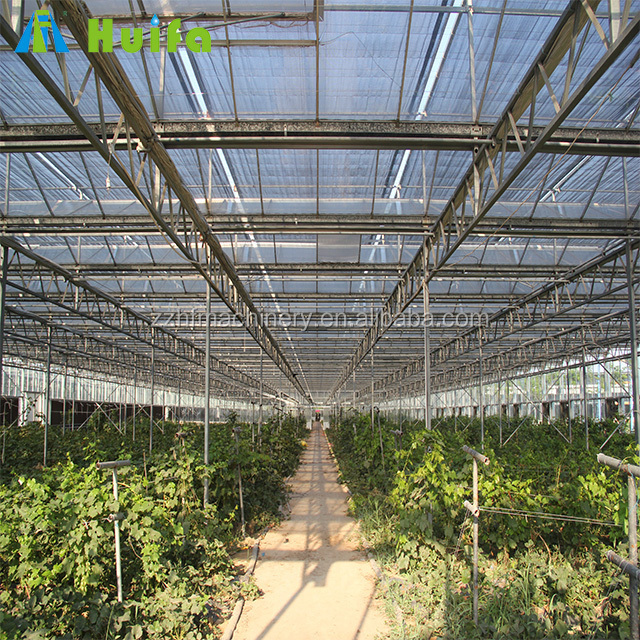 Commercial Glass Greenhouse for sale