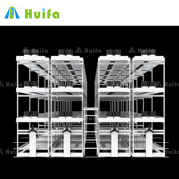 Hydroponic Greenhouse Indoor Plant Grow Rack Double Deck Shelves Commercial Vertical Racks For Lettuce Growing