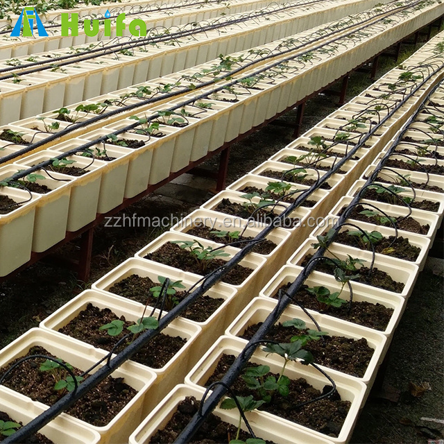 Complete Hydroponic Greenhouse Growing Systems Dutch Bucket For Tomatoes Vertic Farm System