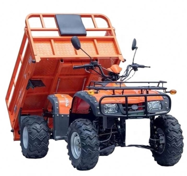 Wholesale Price Atv 600Cc 4X4 Automatic Dune Buggy