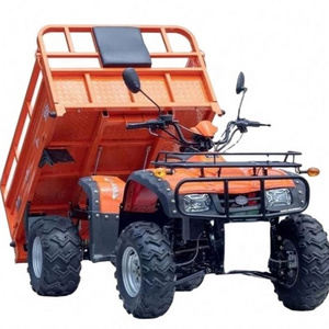 Wholesale Price Atv 600Cc 4X4 Automatic Dune Buggy