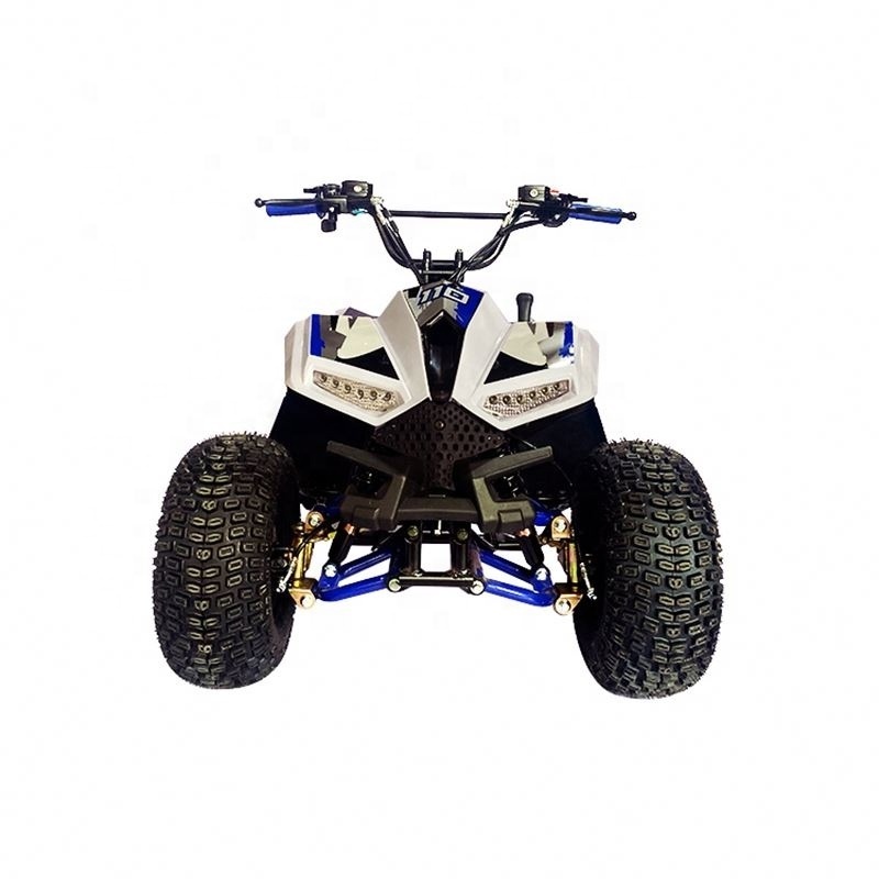 Factory Price Wholesale 110CC Raptor Quad 110 Panther Mini Kit Kid 50CC 90CC Zhengzhou 4 Wheeler ATV For Teen