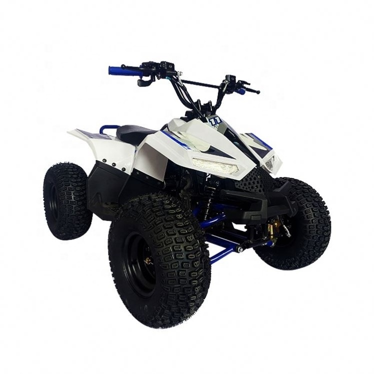 Factory Price 4 Wheel Quad Bike 110CC Stroke Go Kart Chain Drive Farm ATV For 12 Year Old