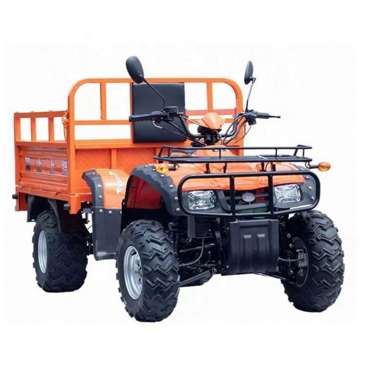 Wholesale Price 800Cc Atv Single Seater Dune Buggy