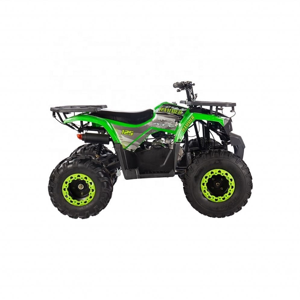 Professional Manufacturer 4 Wheel Motorcycle Kid 125 CC Cuatrimoto Moto Quad ATV 125CC