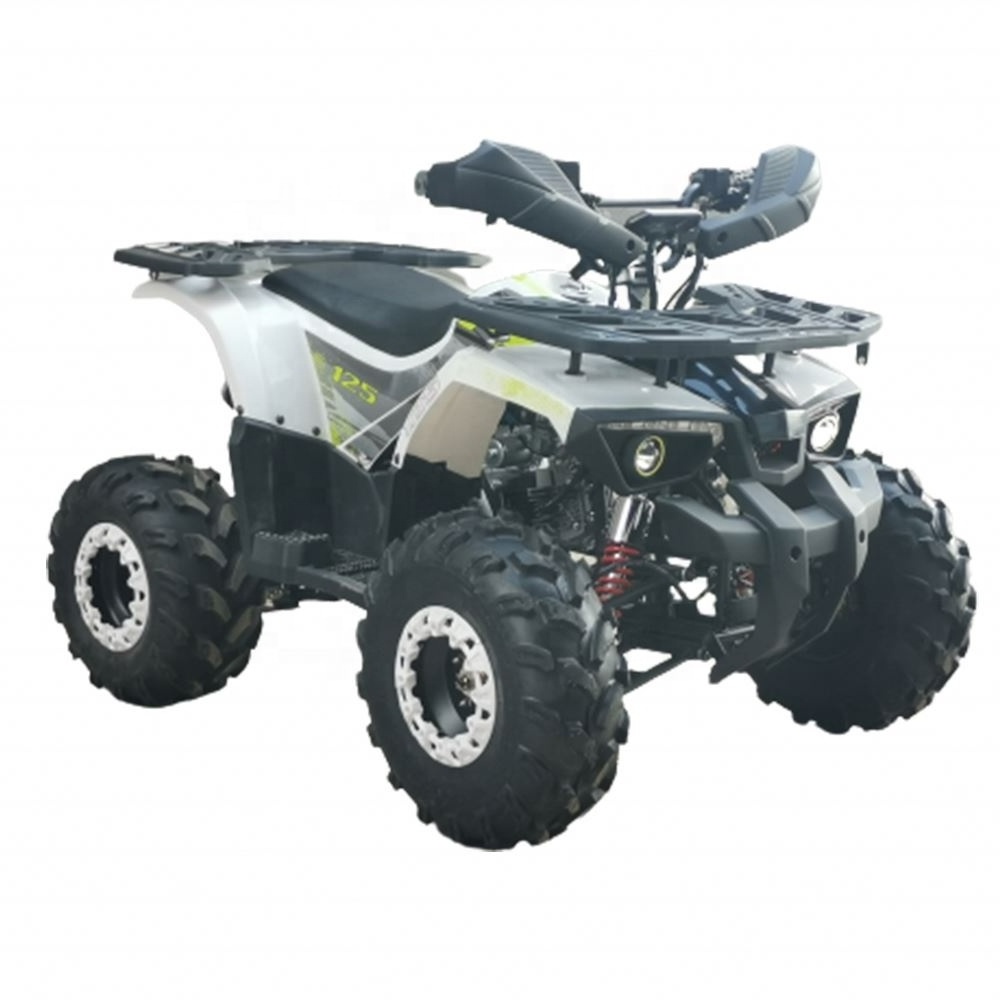 Professional Manufacturer 4 Wheel Motorcycle Kid 125 CC Cuatrimoto Moto Quad ATV 125CC