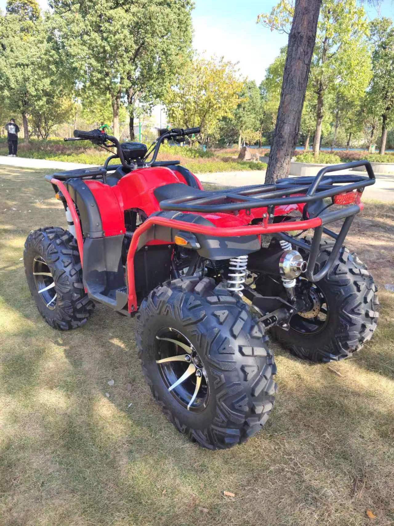 250CC 4-wheel drive adult all terrain vehicle ATV 4X4 four-wheel amphibious beach vehicle