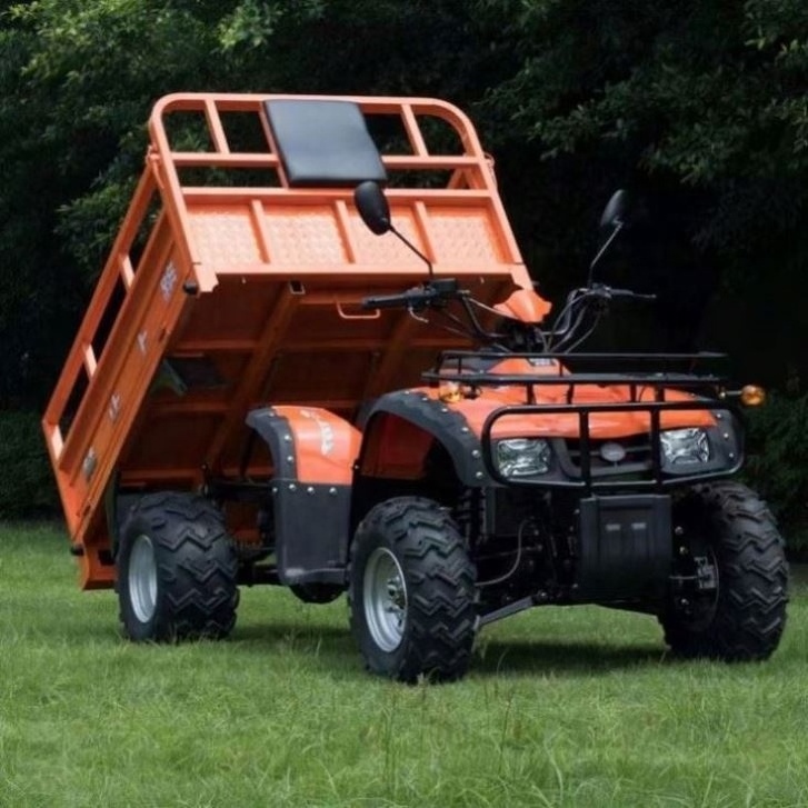 Wholesale Price Atv 600Cc 4X4 Automatic Dune Buggy