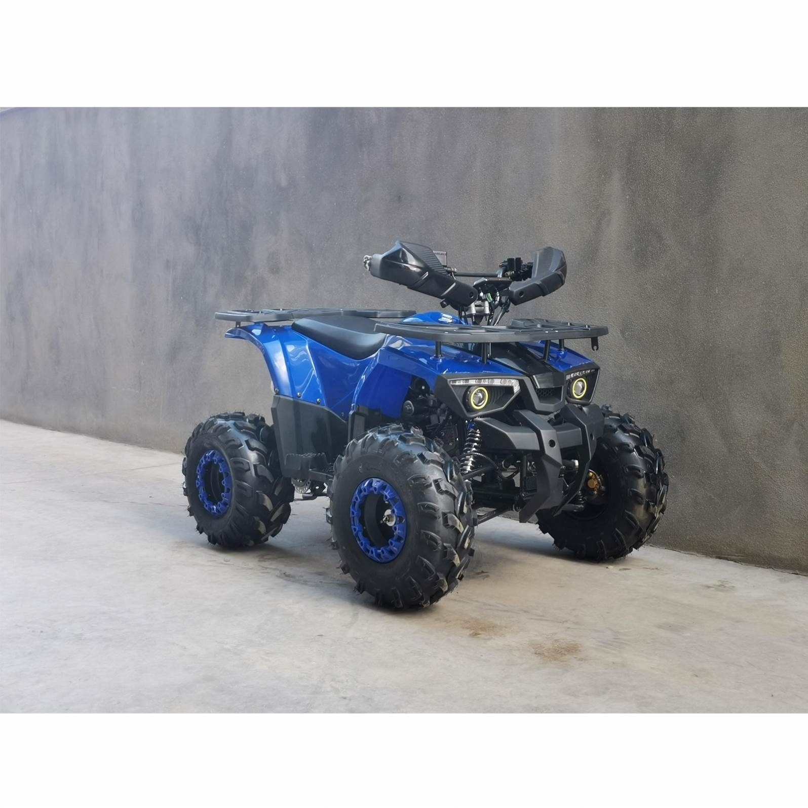 Aggressive Good Performance 4 Stroke Gas For Kids ATVs 125CC Semi Automatic Quad Bikes