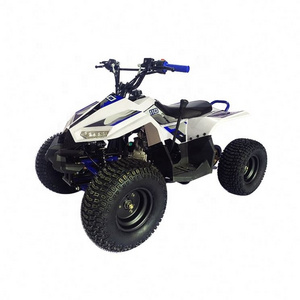 High Quality Amphibious 110CC Quad Peace Sport Mini Chinese Gas Yongkang Kid Car Automatic ATV