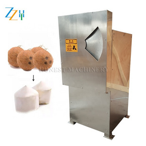 Electric Coconut Grater / Coconut Grinding Machine / Coconut Grinder