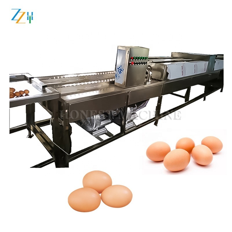 High Quality Egg Cleaner / Egg Wash Machine / Egg Washer