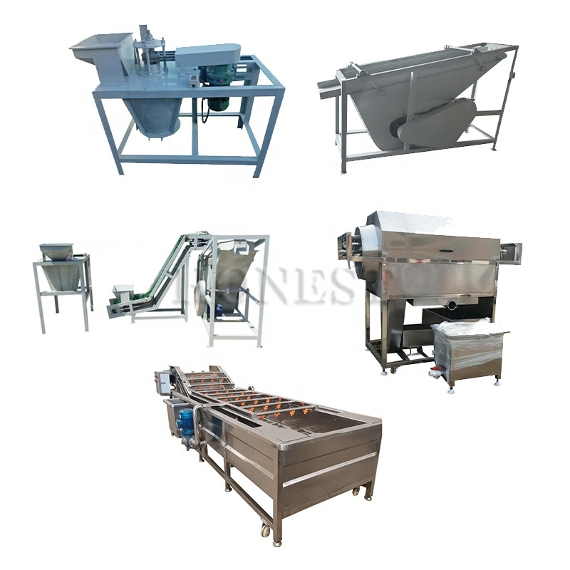 Stainless Steel Walnut Grinder / Walnut Peeling Machine / Walnut Shell Crusher Machine