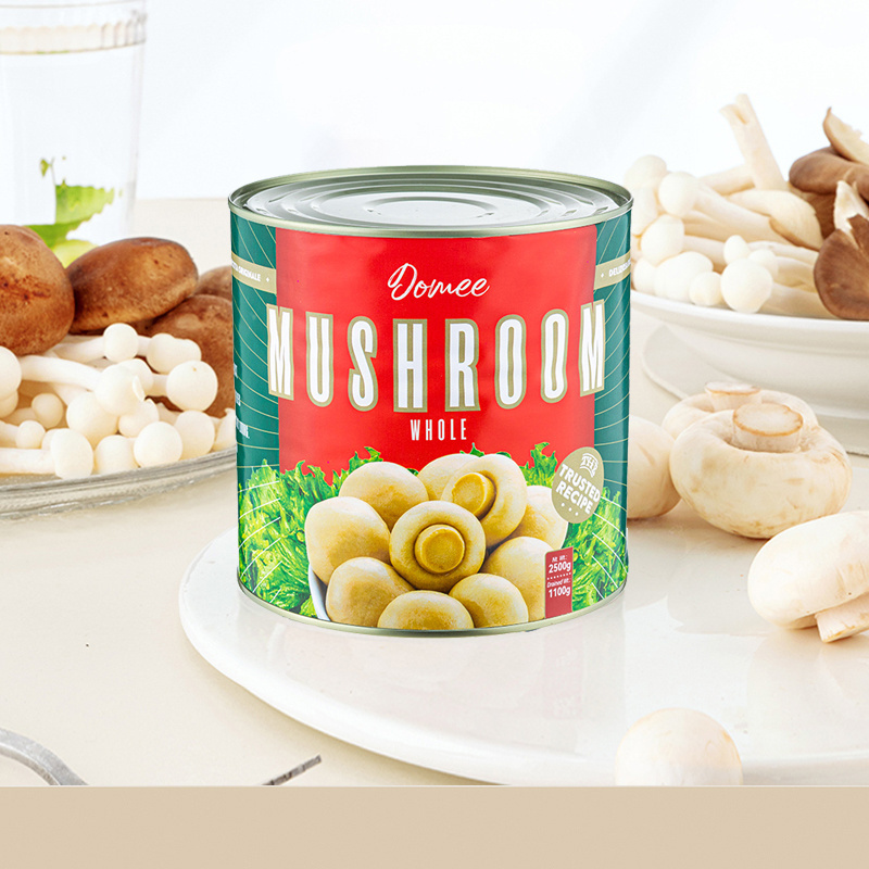 Food Preservation Button Mushroom Cultivation Mushrooms in Conserve Canned Mushrooms