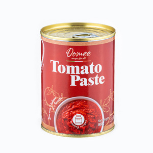 Double Concentrate Canned Tomato Paste