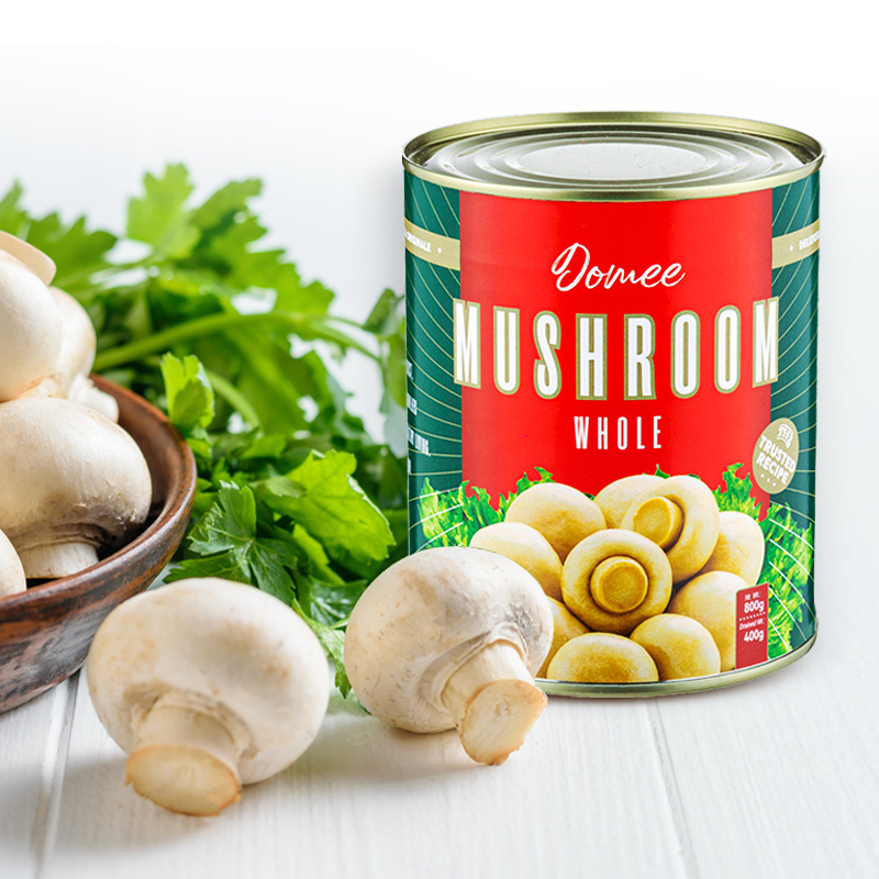 Hot Sale Best Canned Mushroom Free Sample Canned Button Mushroom Brands