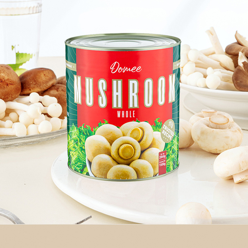 Food Preservation Button Mushroom Cultivation Mushrooms in Conserve Canned Mushrooms