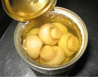 Champignon Button Mushroom factory  wholesales Canned Mushrooms