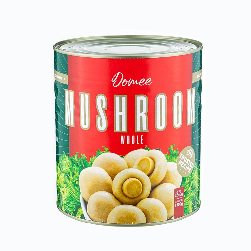 Hot Sale Best Canned Mushroom Free Sample Canned Button Mushroom Brands