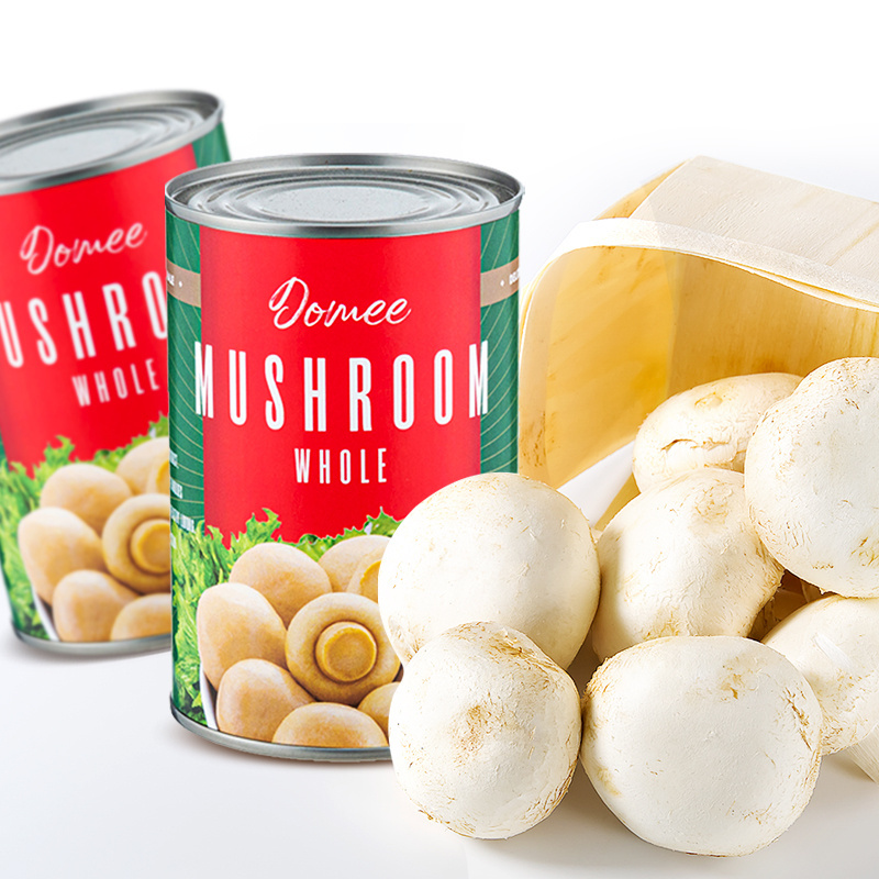 Hot Sale Best Canned Mushroom Free Sample Canned Button Mushroom Brands