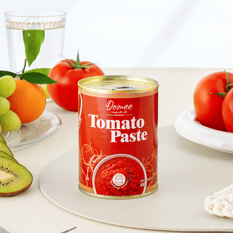 Double Concentrate Canned Tomato Paste