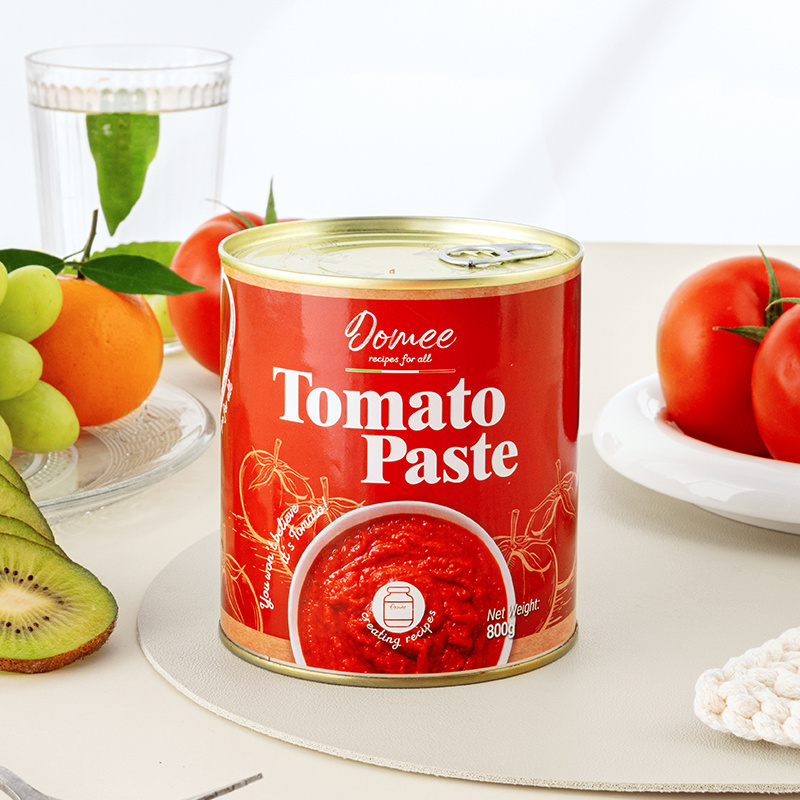 Double Concentrate Canned Tomato Paste