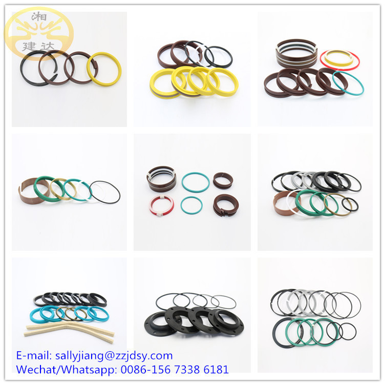 Putzmeister hydraulic cylinder boom cylinder seal kits D225/125 D200/125 D180/105 D165/105 D115/70 with good quality