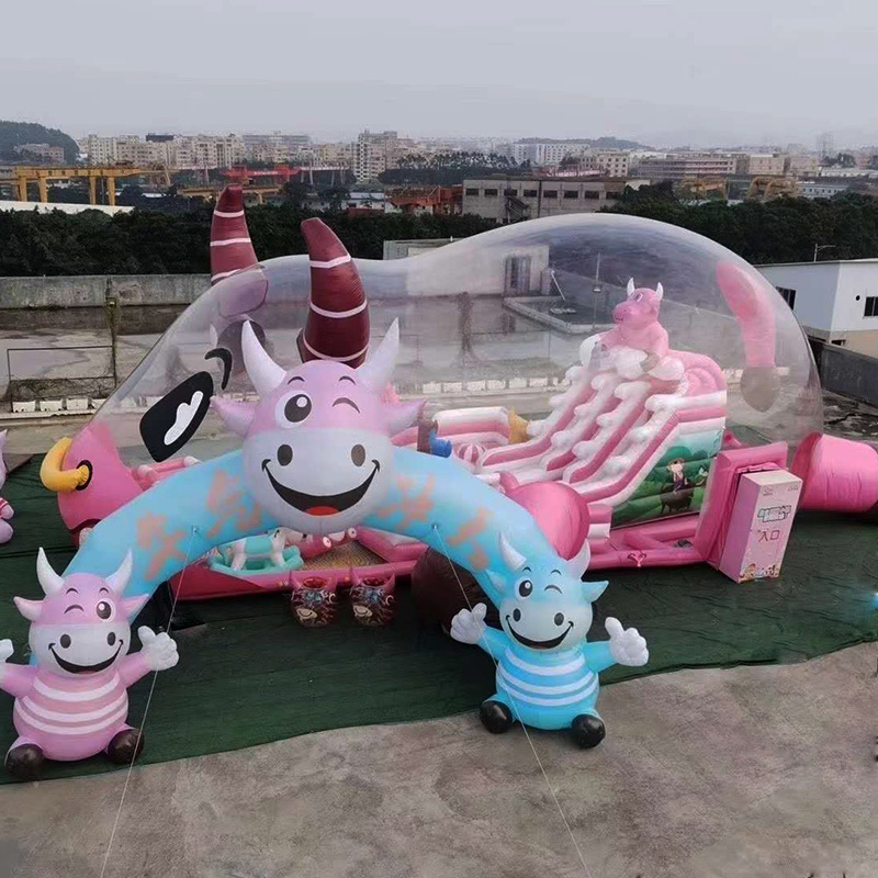 Outdoor or  indoor playground kids inflatable house with the slides children play park equipment Transparent dogs