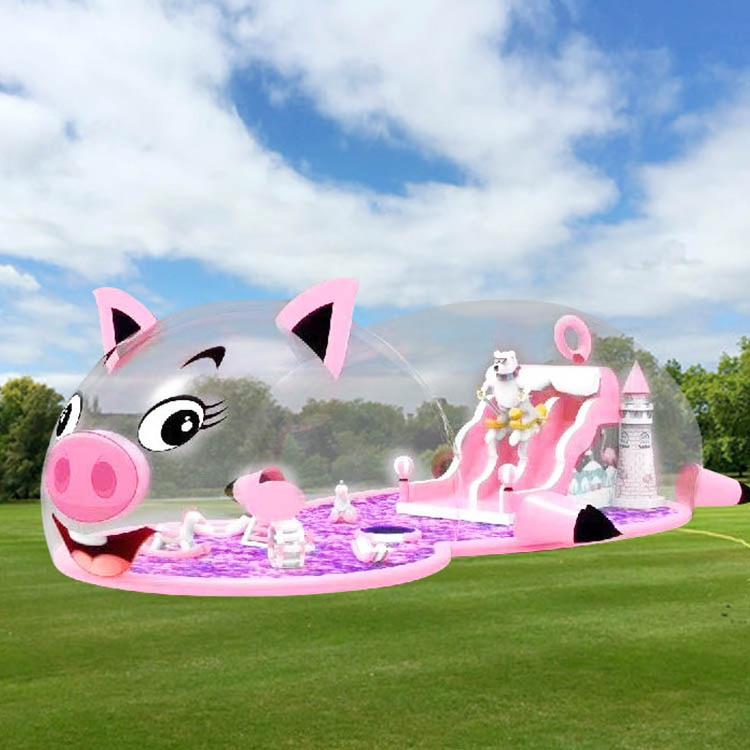 Outdoor or  indoor playground kids inflatable house with the slides children play park equipment Transparent dogs