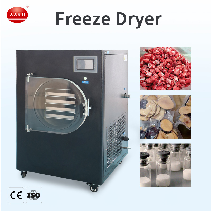 Laboratory Vacuum Small Freeze Dryer/Lyophilizer Price