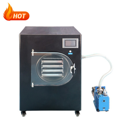 Laboratory Vacuum Small Freeze Dryer/Lyophilizer Price