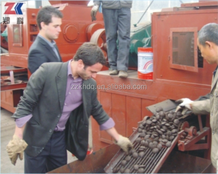 Palm kernel shell charcoal briquettes machine with stable performance and competitive price