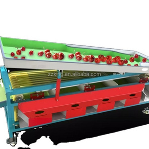 Best selling farm supermarket equipment sorter grader classify machine for jujube dates dry red date cherry tomatoes