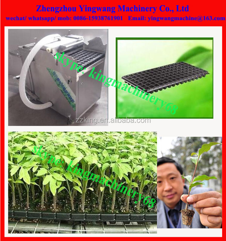 eggplant/ lettuce/ cucumber seeds planting machine for seedlings transplant