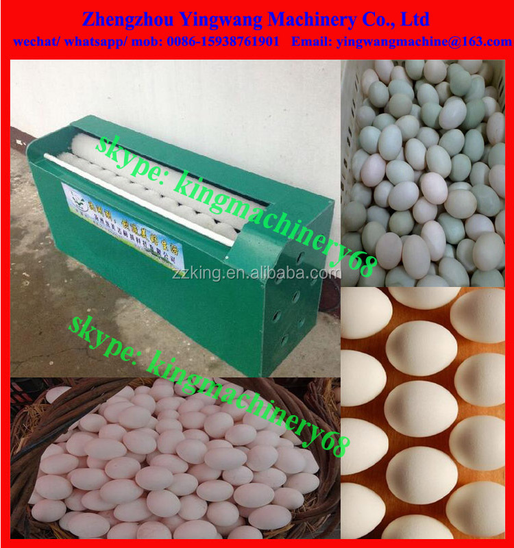 duck / quail/ goose/ chicken egg washing machine