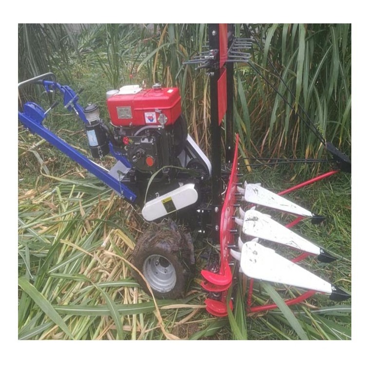 Self-propelled diesel engine reed hemp flax / maize corn stalk reaping harvesting machine / green pepper chili stalk cutter