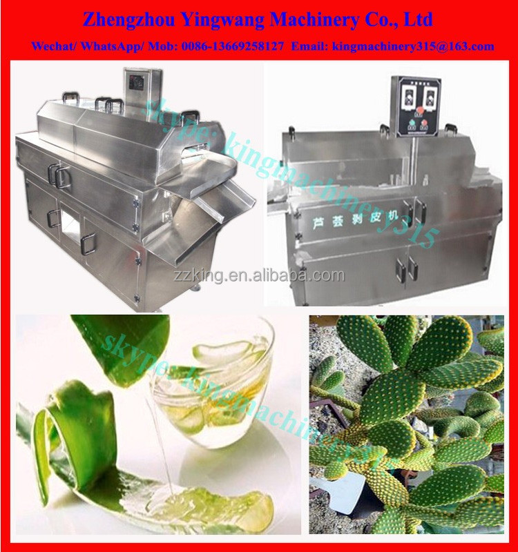 Factory Supply aloe vera processing machinery