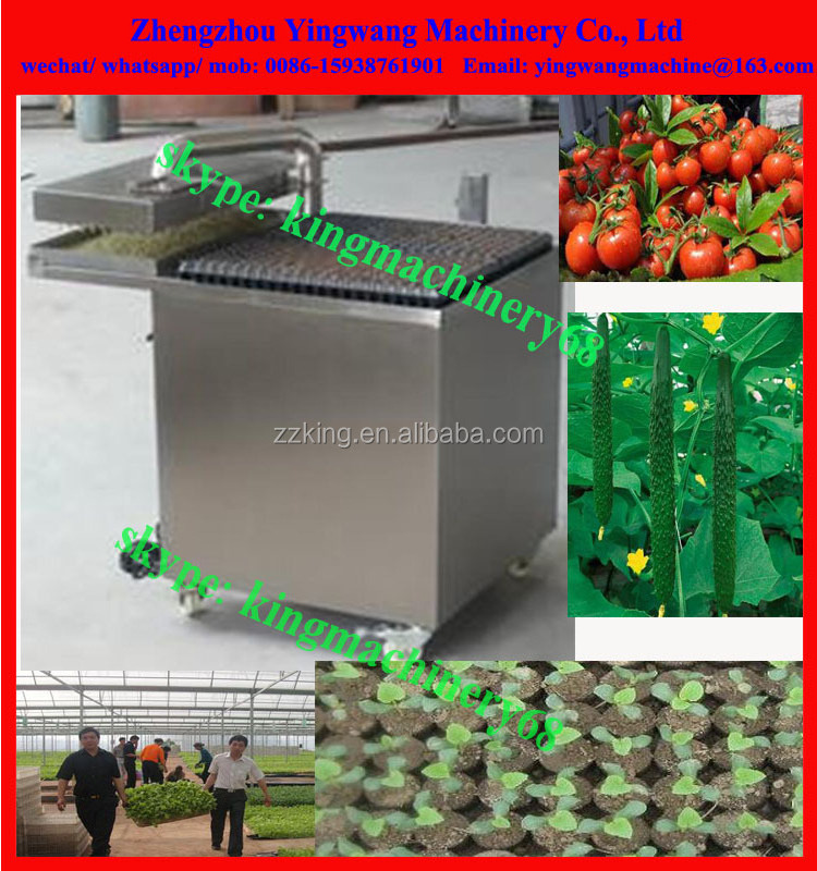 eggplant/ lettuce/ cucumber seeds planting machine for seedlings transplant