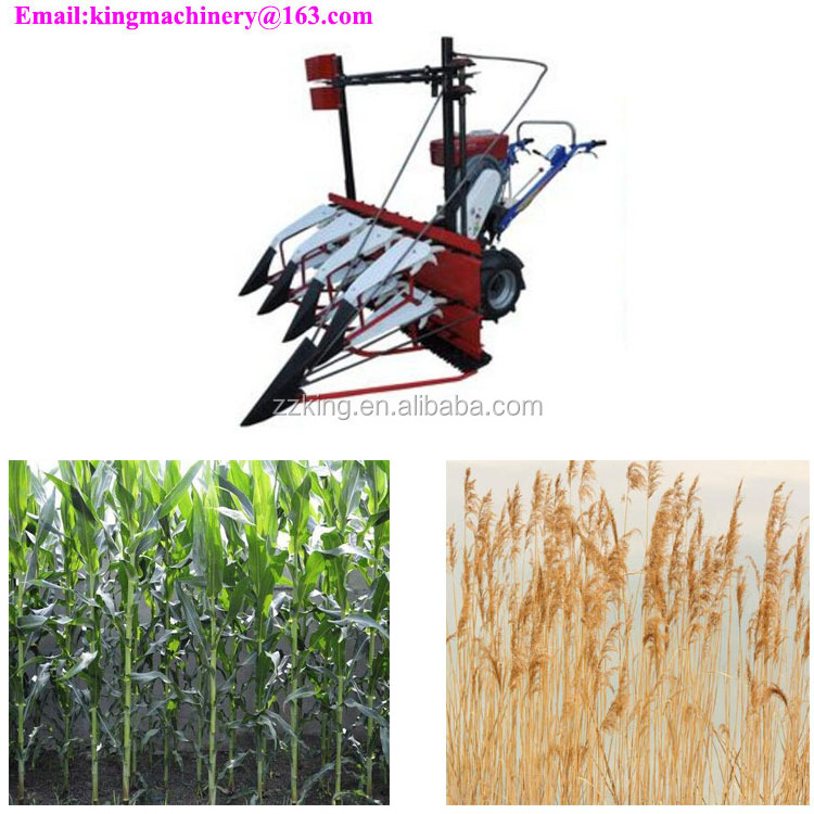 Self-propelled diesel engine reed hemp flax / maize corn stalk reaping harvesting machine / green pepper chili stalk cutter