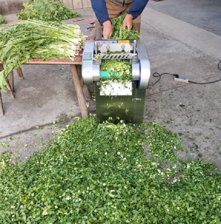 Industrial Seaweed Shredding Spinach Chopper Vegetable Cutter Slicer Machine/Commercial Potato Granulator Chips Cutter