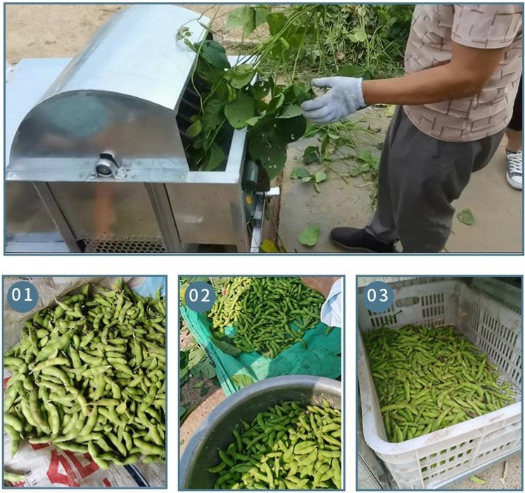 edamame picking shelling machine/soya pea pod hulling picker/grean bean processing harvesting machine