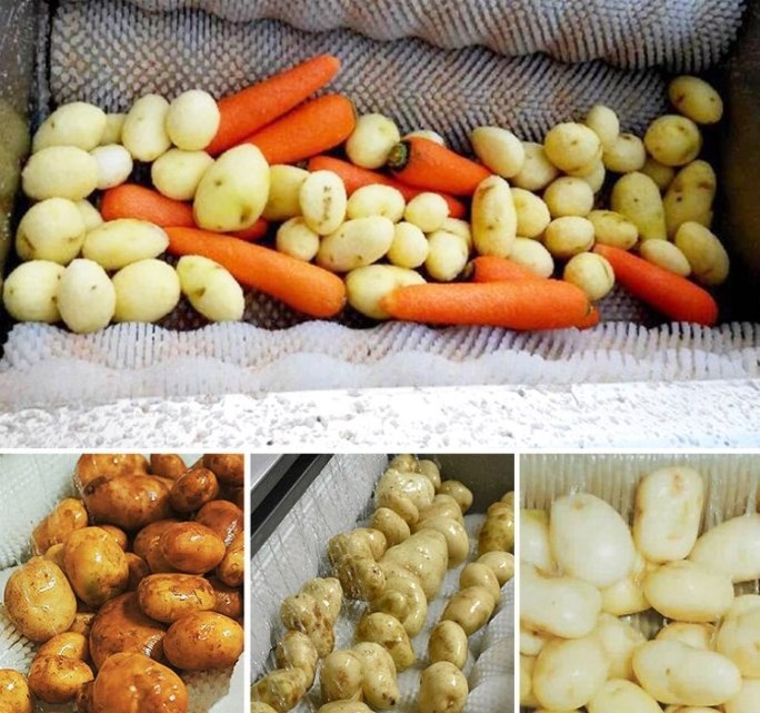 Vegetable Ginger Washing Peeler Potato Cleaning Peeling Machine/Carrot Peeling Machine