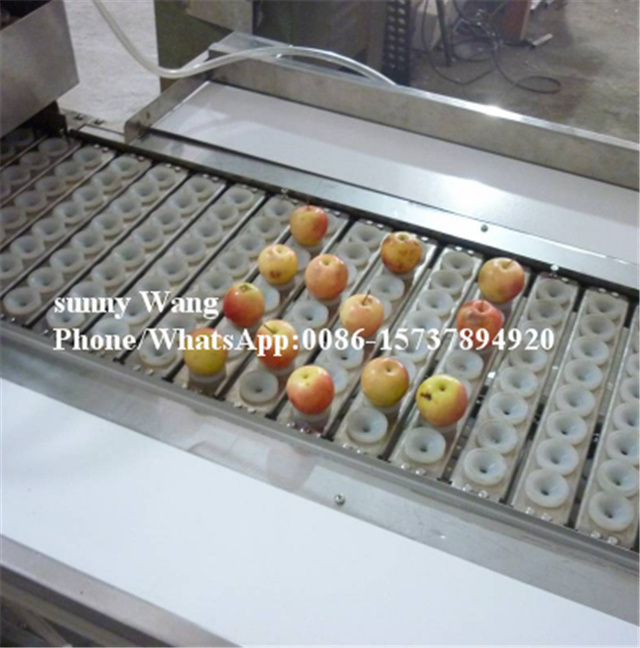 OEM commercial apple corer slicer/fruit slicing machine/fruit and vegetable coring cutting machine