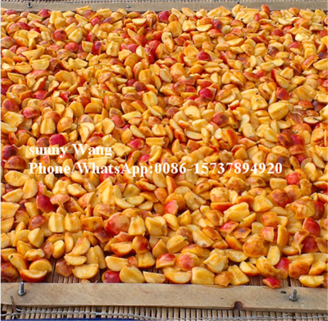 OEM commercial apple corer slicer/fruit slicing machine/fruit and vegetable coring cutting machine