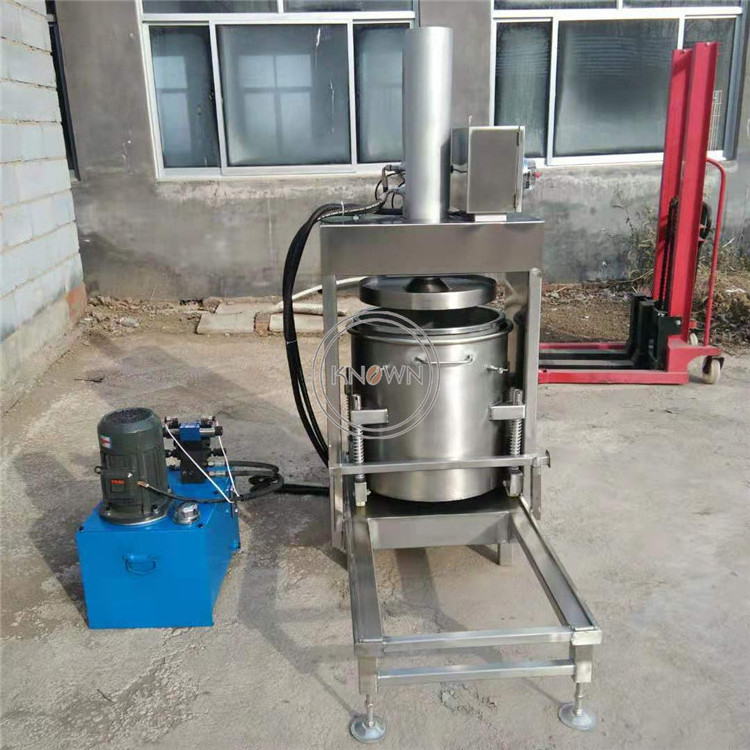 OEM Commercial Hydraulic Fruit Vegetable Cold Filter Press Juice Machine Stainless Steel 50L Mulberry Mango Juicer Extractor