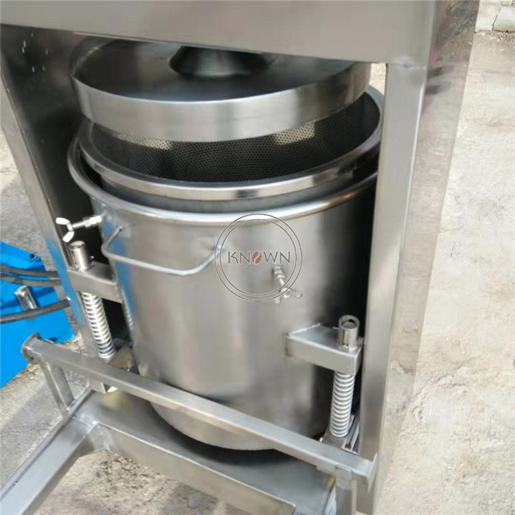 OEM Commercial Hydraulic Fruit Vegetable Cold Filter Press Juice Machine Stainless Steel 50L Mulberry Mango Juicer Extractor